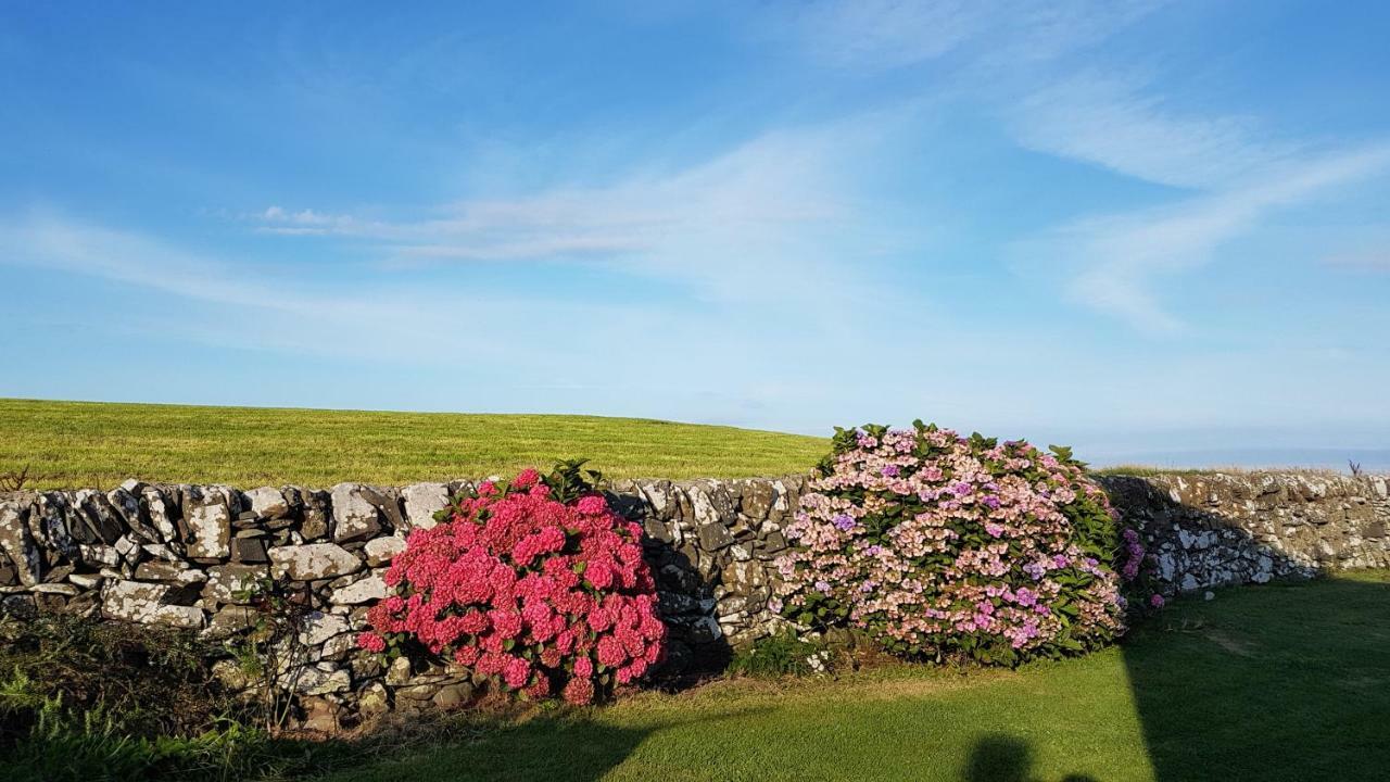 31 Laigh Isle Βίλα Isle of Whithorn Εξωτερικό φωτογραφία